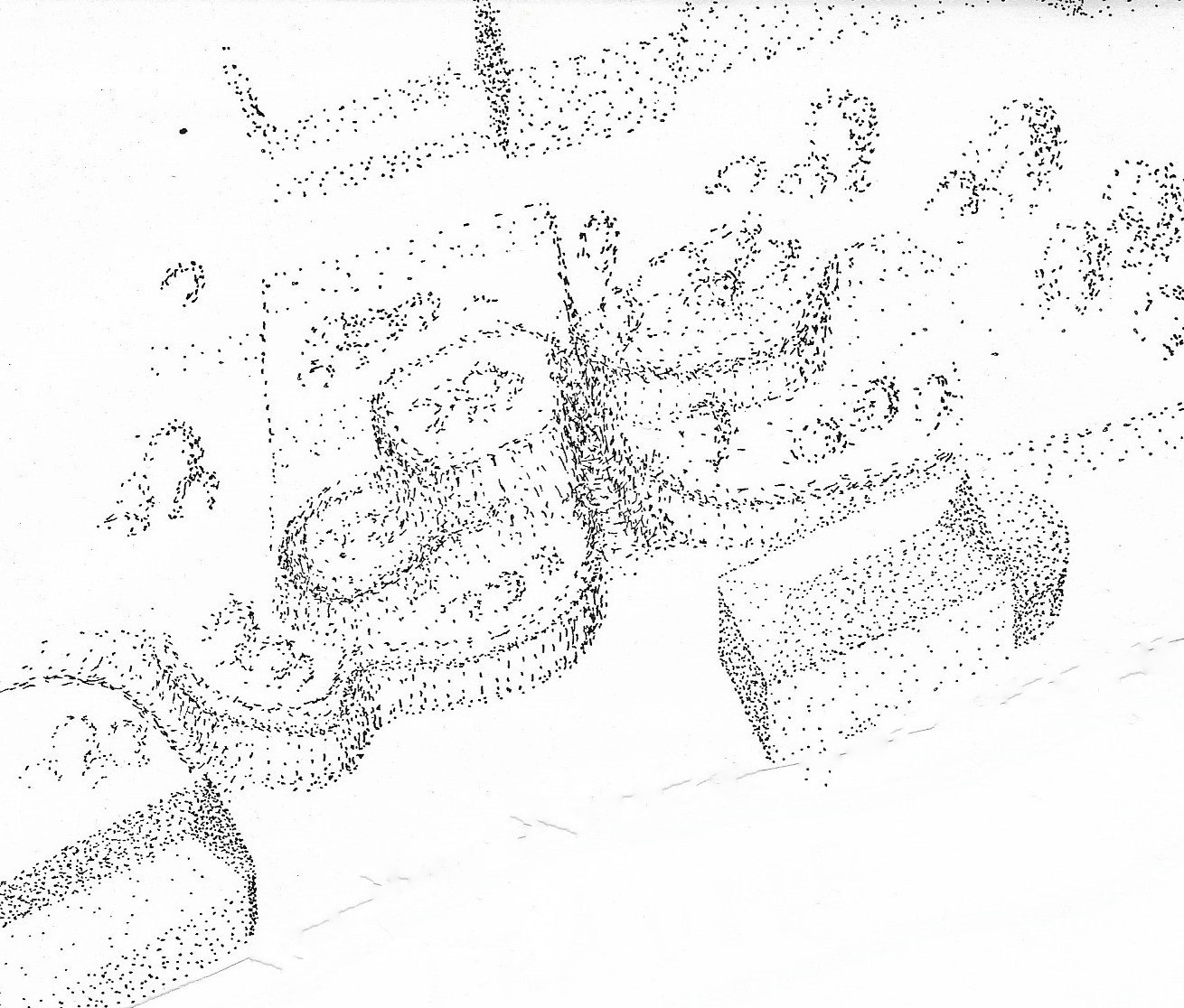 Studie
